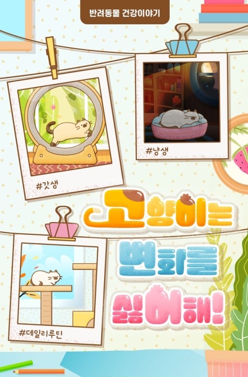 [반려동물 건강이야기] 고양이는 변화를 싫어해!