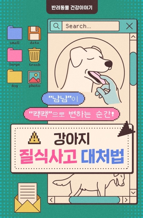 [반려동물 건강이야기] 강아지 질식사고 대처법