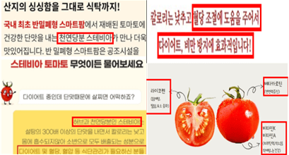 "스테비아 토마토는 농산물 아닌 가공식품"…식약처, 부당광고 15곳 적발