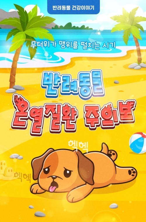 [반려동물 건강이야기] 무더위가 맹위를 떨치는 시기-반려동물 온열질환 주의보