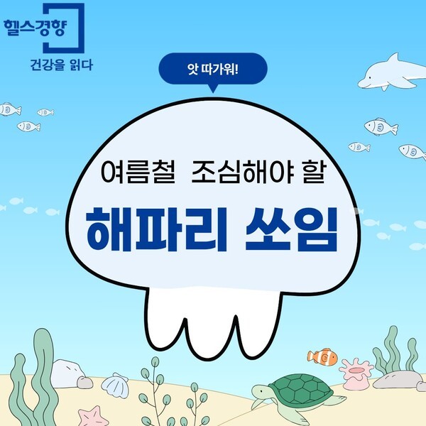 [헬스경향X계명문화대 응급구조과 학생 서포터즈] 여름철 조심해야 할 해파리 쏘임