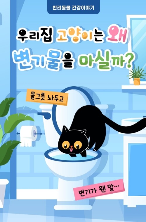 [반려동물 건강이야기] 물그릇 놔두고 변기가 웬 말…우리집 고양이는 왜 변기물을 마실까?